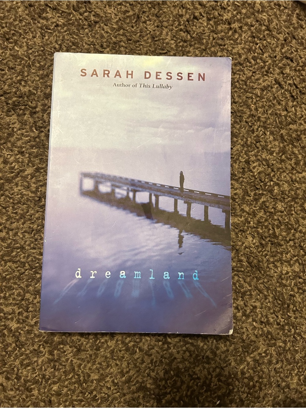 Dreamland Paperback Book - Blue Cover